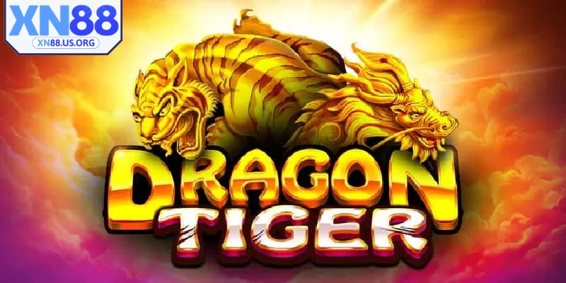 Rồng Hổ XN88 đang nổi lên như một lựa chọn lý tưởng cho người mới