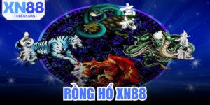 Rồng Hổ XN88