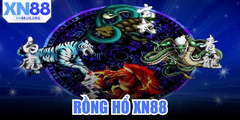 Rồng Hổ XN88